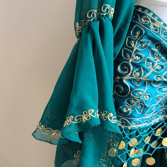 4 Peice Gypsy Bellydance Peacock Costume NWOT - Picture 11 of 16